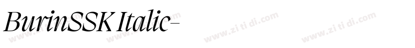 BurinSSK Italic字体转换 BurinSSK Italic字体转换
